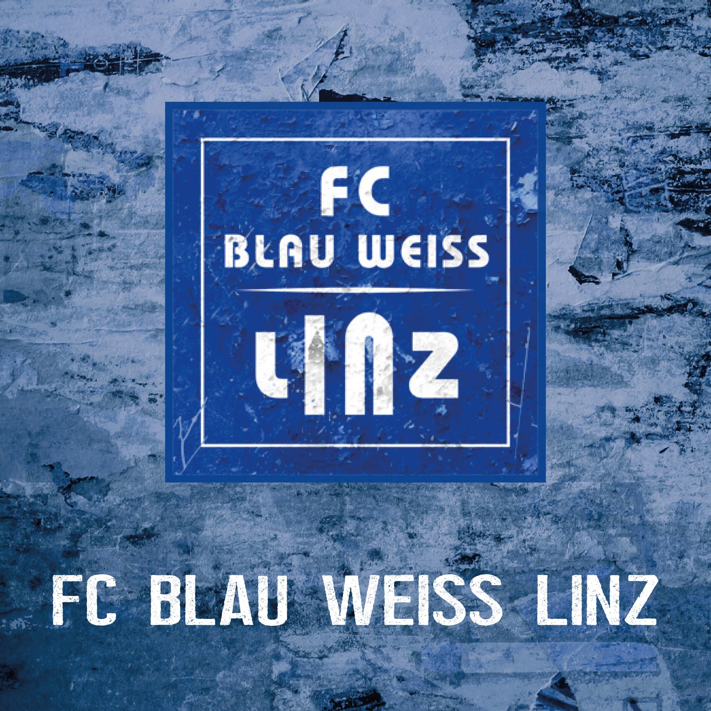 FC Blau-Weiß Linz Kissen