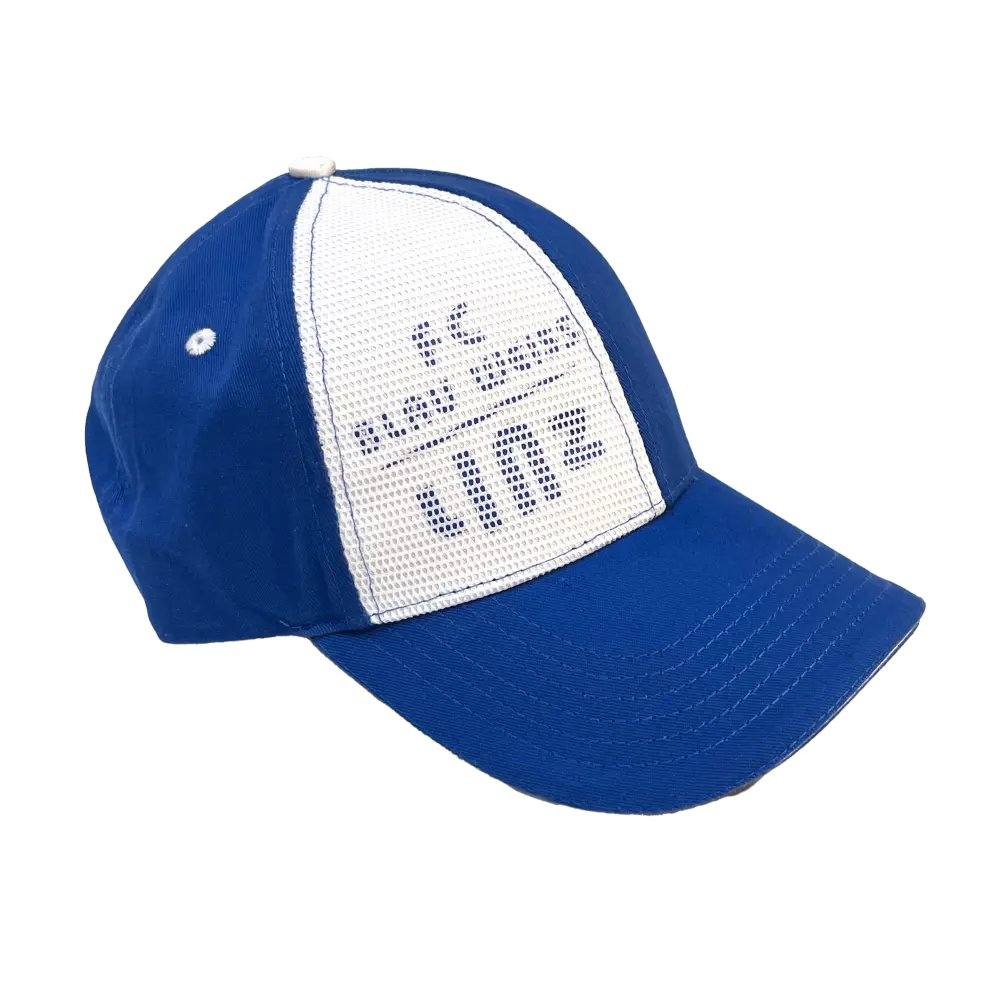 FC Blau-Weiß Linz Cap Netz