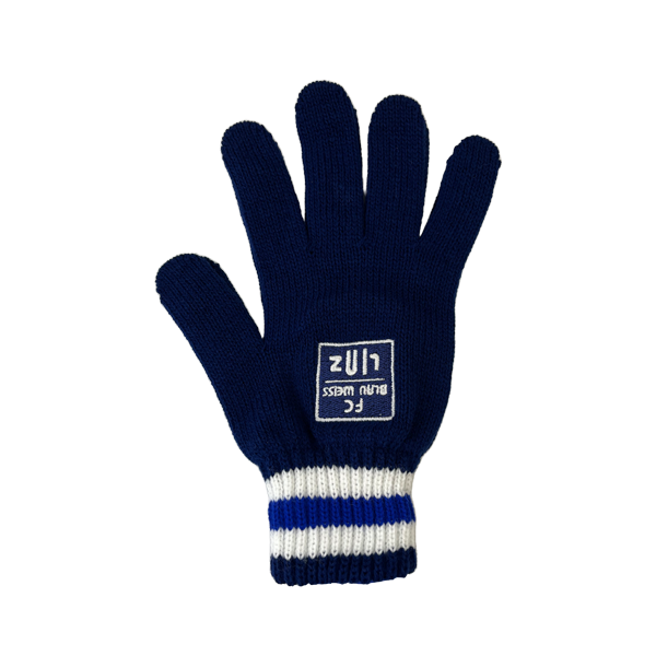FC Blau-Weiß Linz Handschuhe