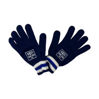 FC Blau Weiss Linz Handschuhe paar