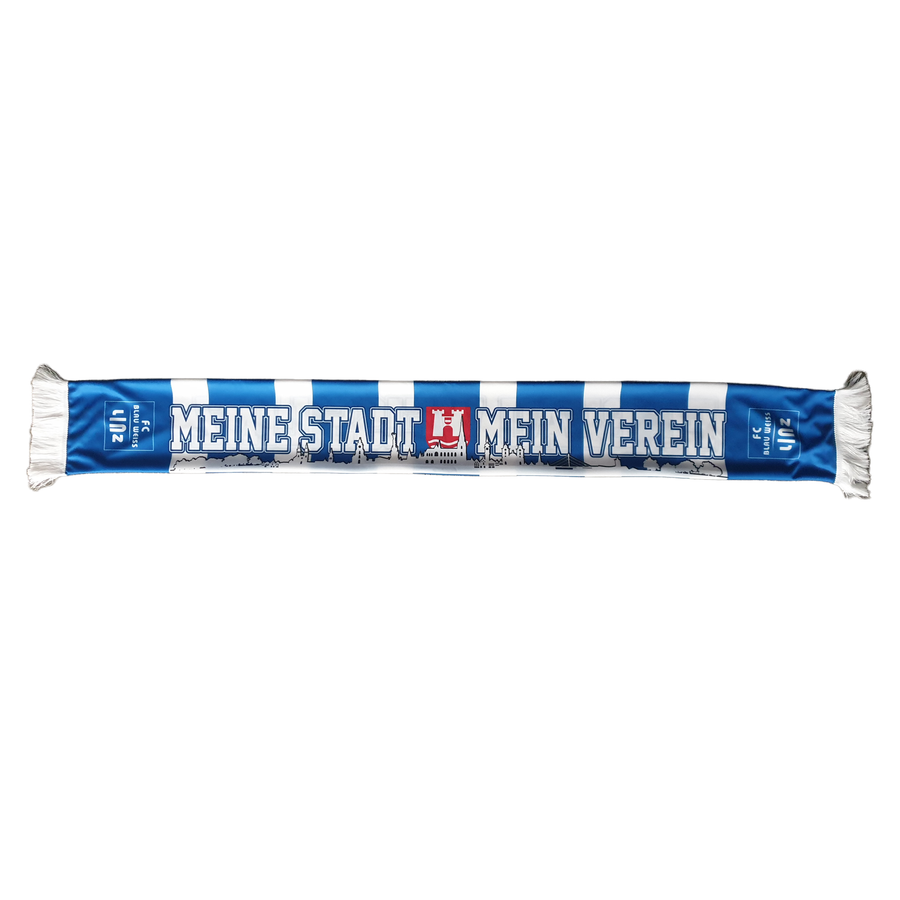 FC Blau-Weiß Linz Seidenschal "Meine Stadt-Mein Verein" Bild 1